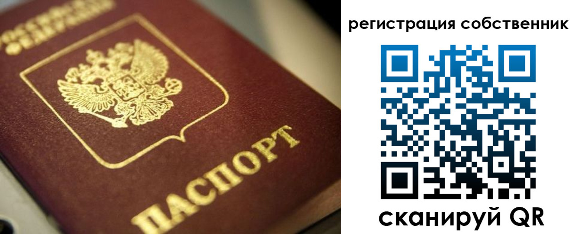 прописка в Торопеце